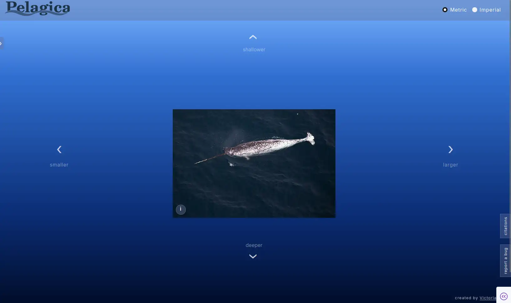 Introducing depth and size navigation