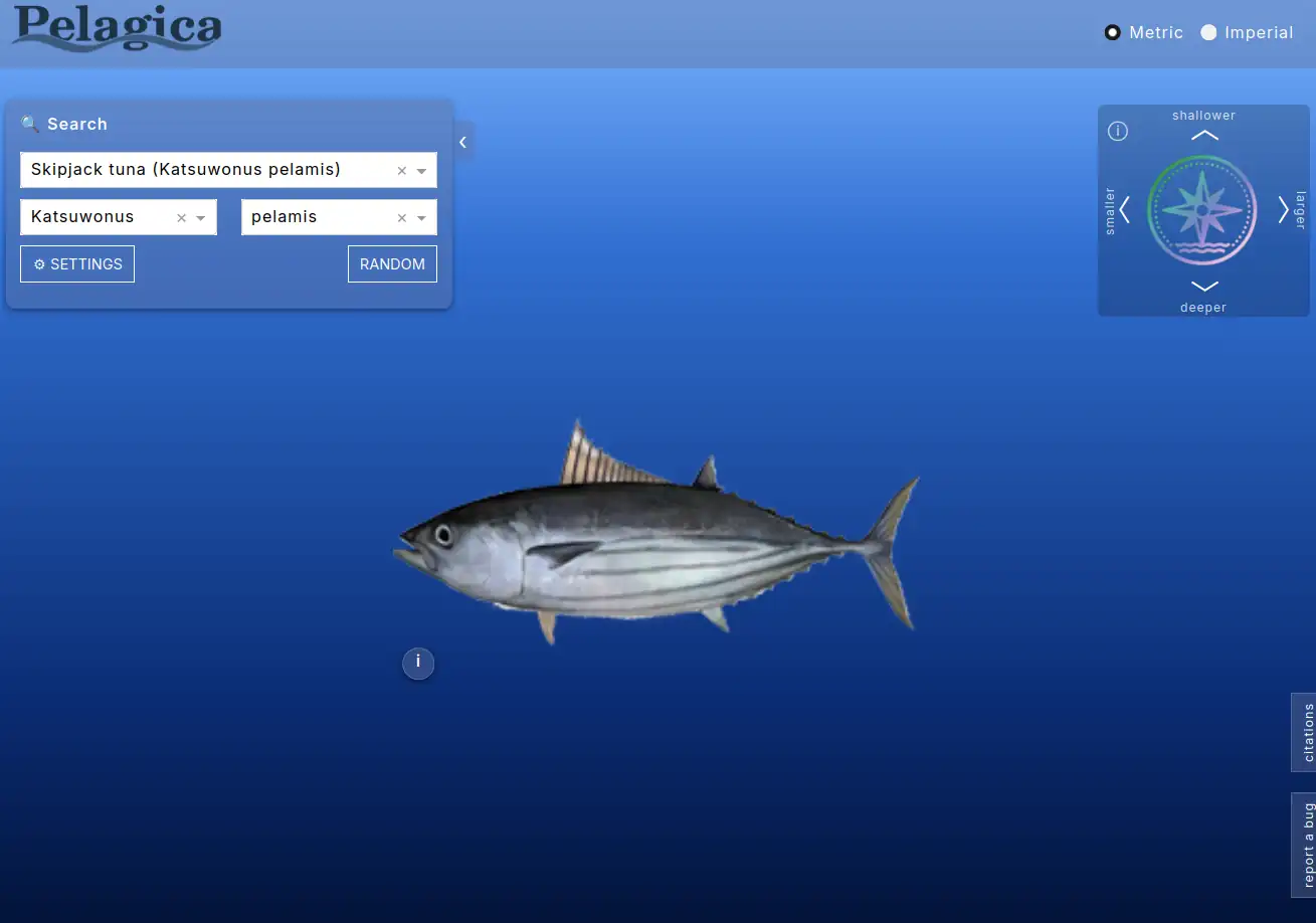 Background removal tool, navigation bridge